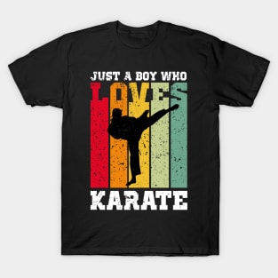 just a boy who loves karate T-Shirt